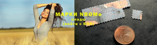 дмт Новокубанск