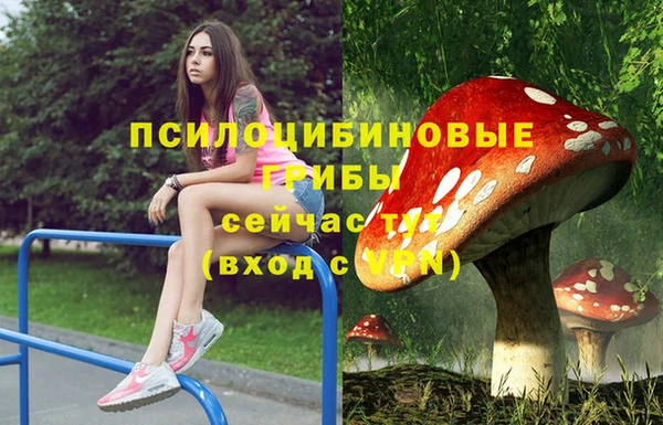 мяу мяу мука Зерноград