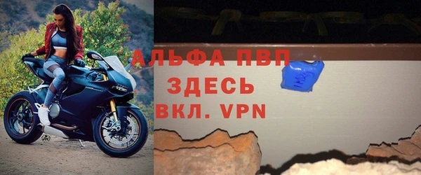 амф Новозыбков