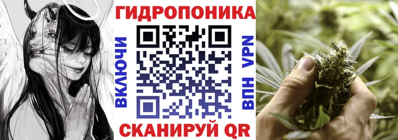 Шишки марихуана индика  Калач 
